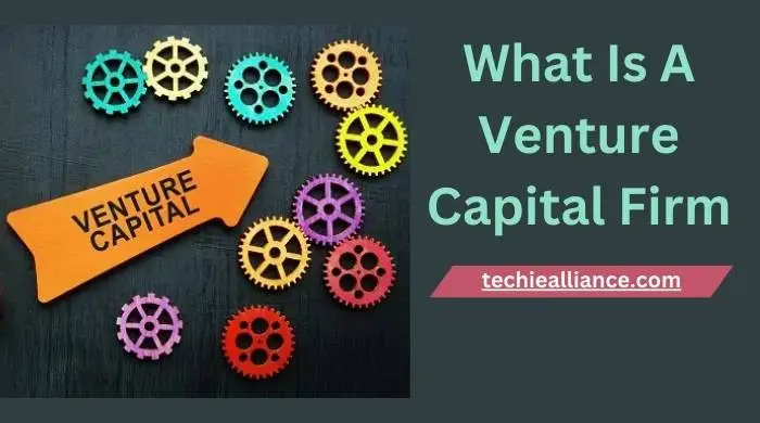 What Is A Venture Capital Firm